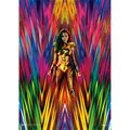 Trend Setters Wonder Woman 1984 Diana Mightyprint Wall Art MP17240558